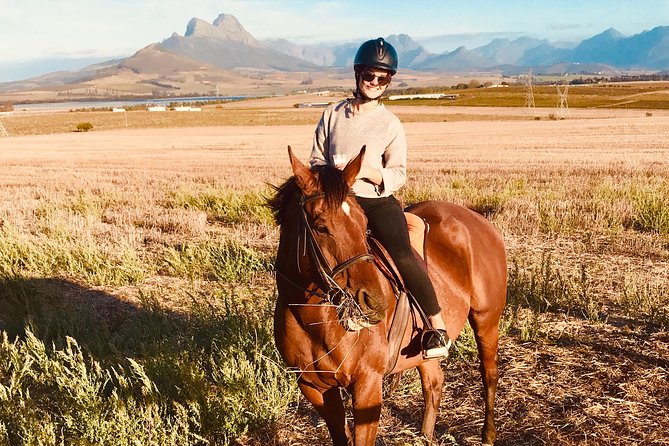 Half Day Horseback Wine Tour - Four wine farms, mountain views, and a changing route
