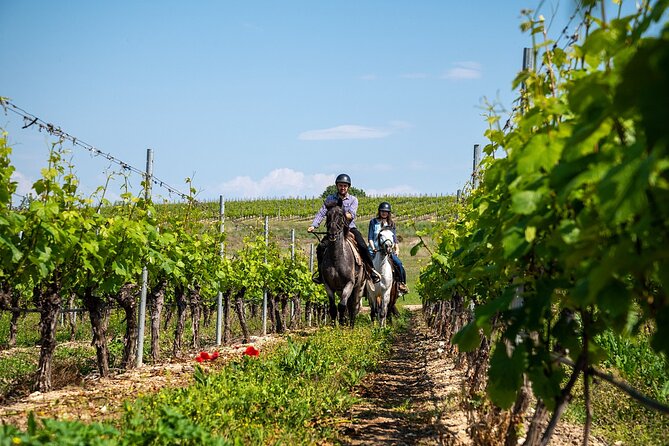 Half-Day of Horseback Adventure with Wine Tasting - From Plovdiv to Yustina Vineyard Park at 9:00