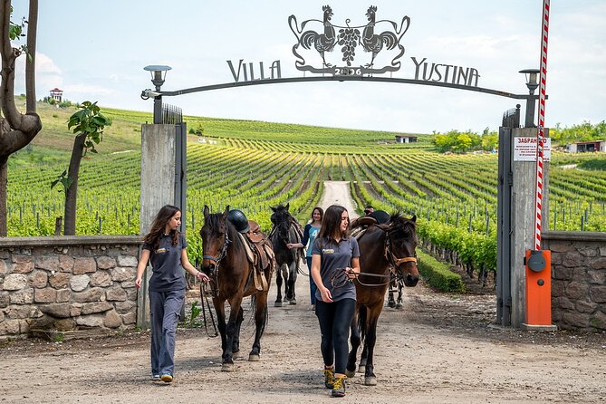 Half-Day of Horseback Adventure with Wine Tasting - Riding among vineyards near the Rhodope foothills