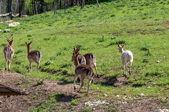 Half-Day of Horseback Adventure with Wine Tasting - Reaching Red Church by horseback