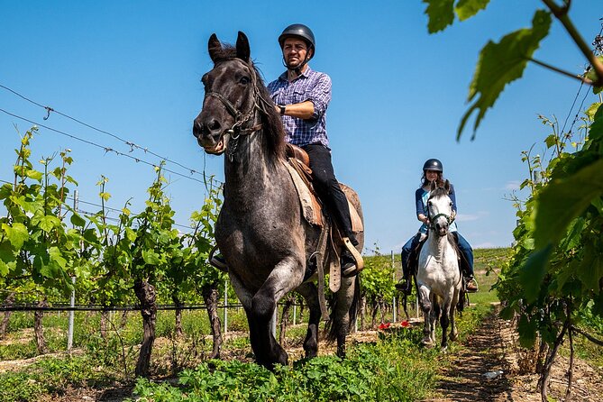 Half-Day of Horseback Adventure with Wine Tasting - What the $179.01 price covers