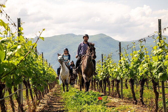 Half-Day of Horseback Adventure with Wine Tasting - Small group, simple planning, and the cancellation rule