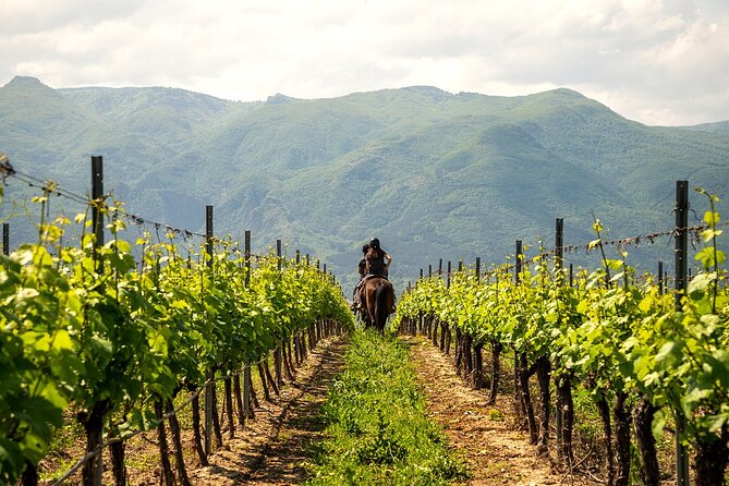 Half-Day of Horseback Adventure with Wine Tasting - Should you book the Yustina horseback ride?