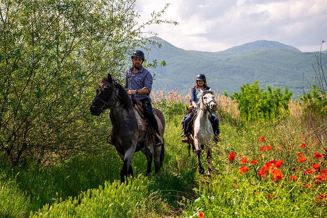 Half-Day of Horseback Adventure with Wine Tasting - A riverside lunch with room to slow down