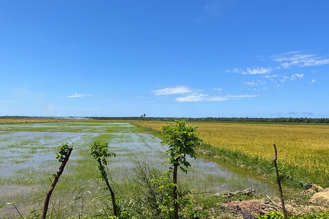Half Day Safari and ATV or horses from Punta Cana - The Dominican home and farm visit