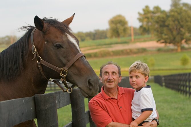 Half-Day Thoroughbred Horse Farm Tour in Kentucky - At the horse farms: the most rewarding part