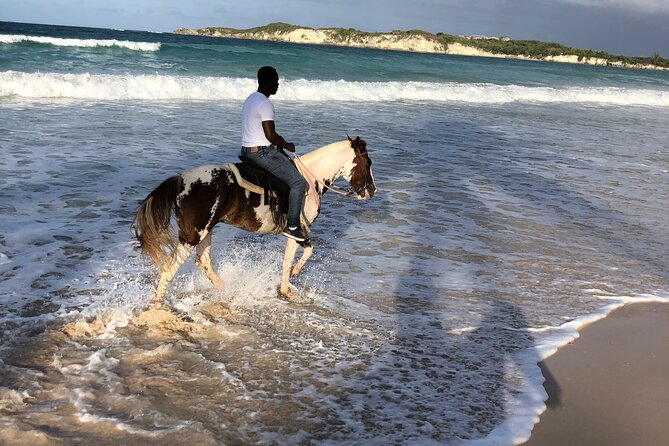 Half-Day Tour 2-in-1, Redonda Mountain & Horseback Riding Tour in Macao Beach - What the private format changes