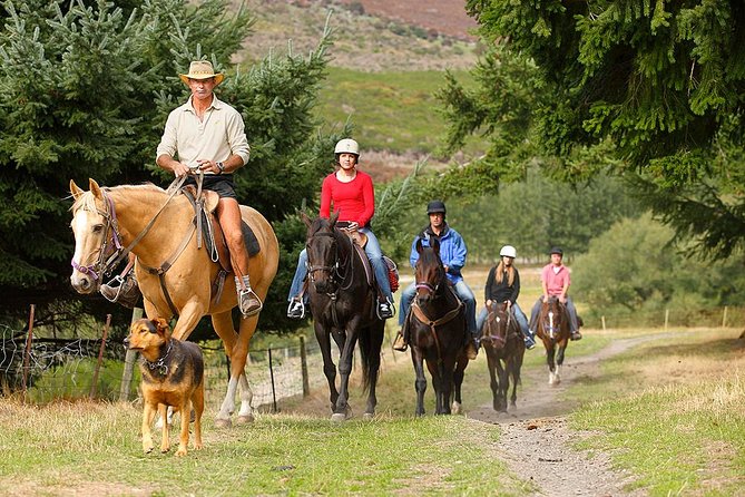Half Day Walter Peak Horse Trek and Cruise from Queenstown - Tea at Walter Peak High Country Farm