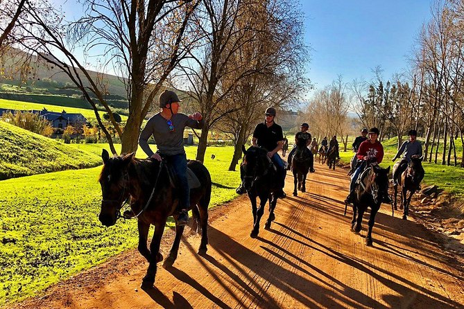 Half Day – Wine Tasting Horse Trail - From Vrede en Lust Into the Franschhoek Wine Valley