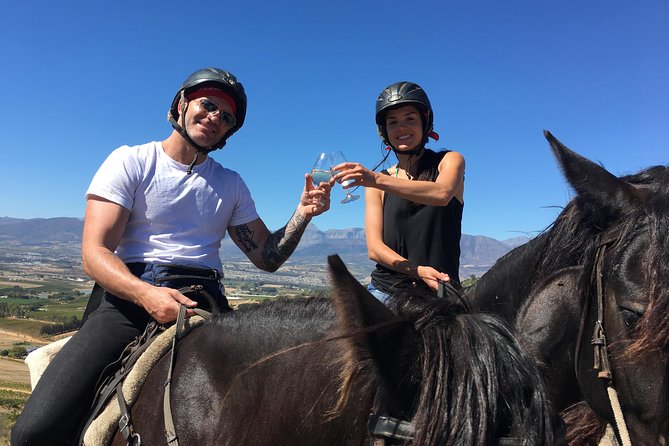 Half Day – Wine Tasting Horse Trail - Meeting the Horses Before the Ride