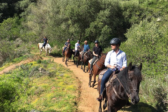 Half Day – Wine Tasting Horse Trail - Who Should Book This Horse Trail