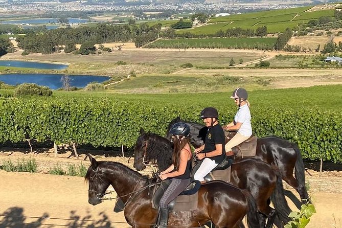 Half Day – Wine Tasting Horse Trail - Small Details That Make the Day Easier