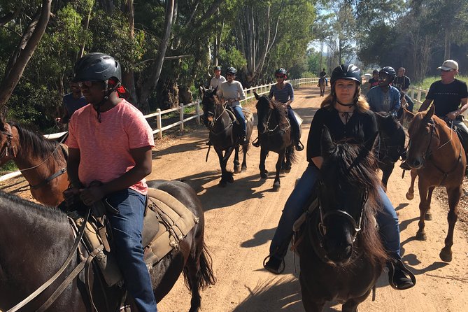 Half Day – Wine Tasting Horse Trail - Should You Book the Wine Tasting Horse Trail?