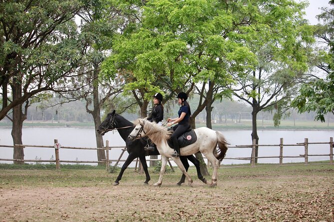 Hanoi Horseback Riding Club & Tours - Exclusive Experience - What happens during the first 35 minutes