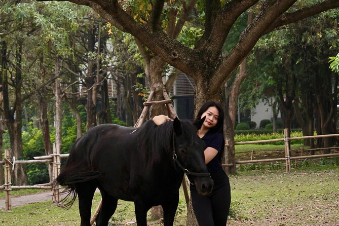 Hanoi Horseback Riding Club & Tours - Exclusive Experience - A creative break after the ride