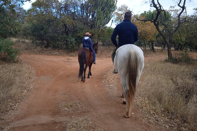 Harties Horse Trail Safari Half day - Key points before you saddle up