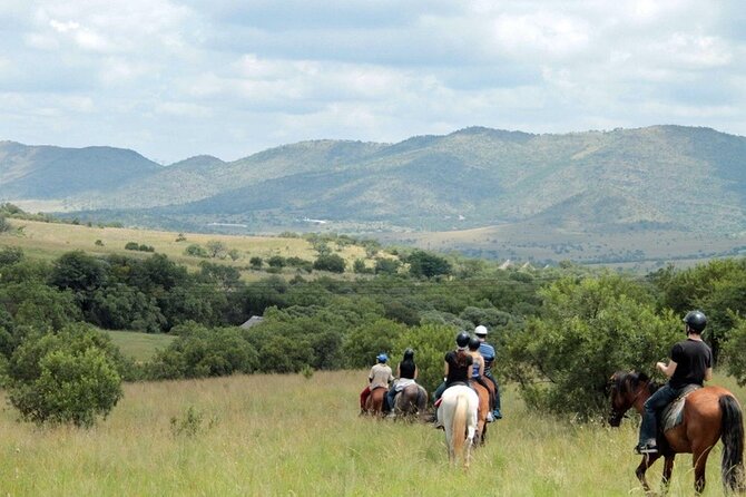 Harties Horse Trail Safari Half day - Why a horse safari feels different from a game drive