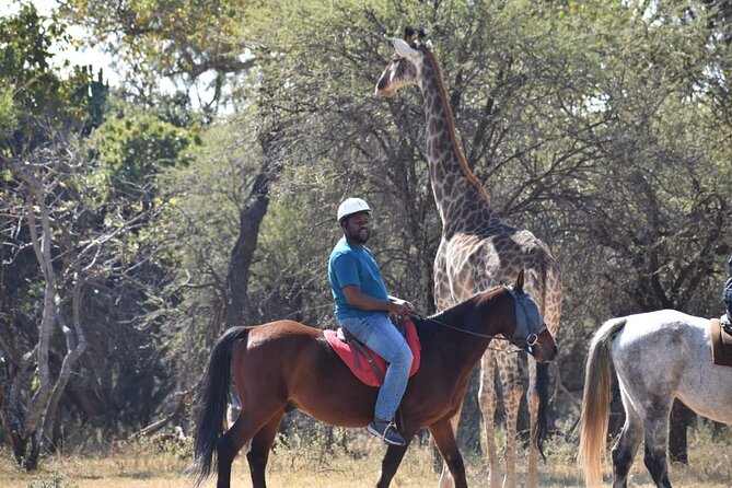 Harties Horse Trail Safari Half day - Getting ready for the two-hour ride