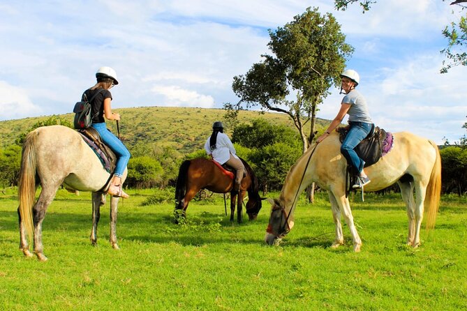 Harties Horse Trail Safari Half day - Riding through the wildlife reserve