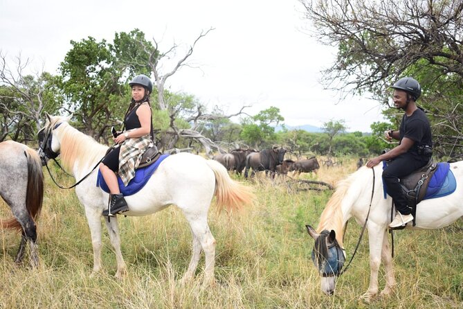 Harties Horse Trail Safari Half day - Is $106.96 good value?