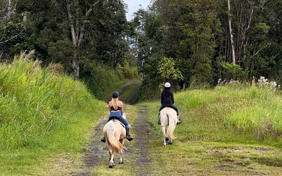 Hawaii: Small Group Rainforest Trail Ride - Why a two-person group matters
