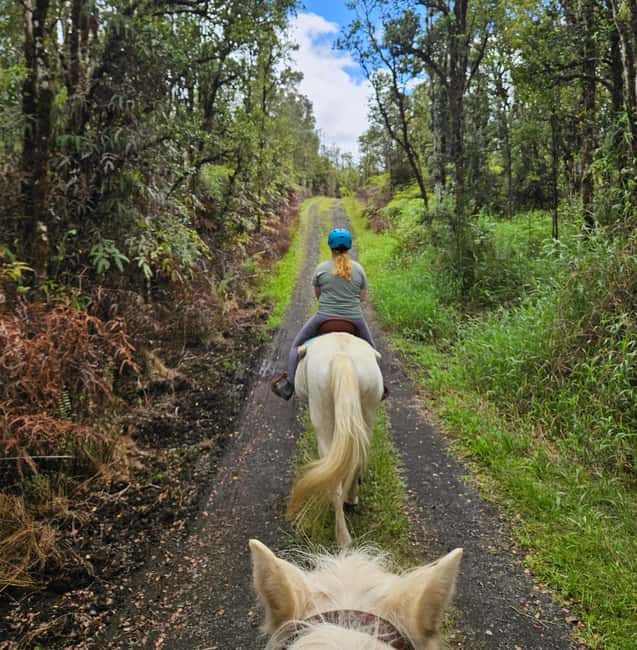 Hawaii: Small Group Rainforest Trail Ride - The ranch welcome after the ride