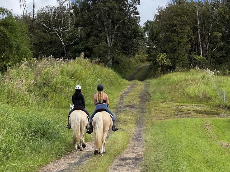Hawaii: Small Group Rainforest Trail Ride - Who should book this horseback ride