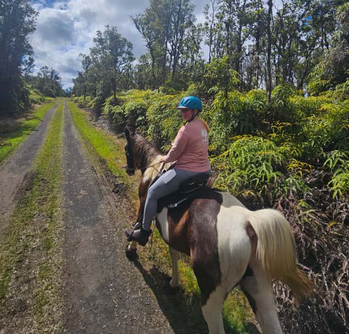 Hawaii: Small Group Rainforest Trail Ride - Practical details that can affect your day