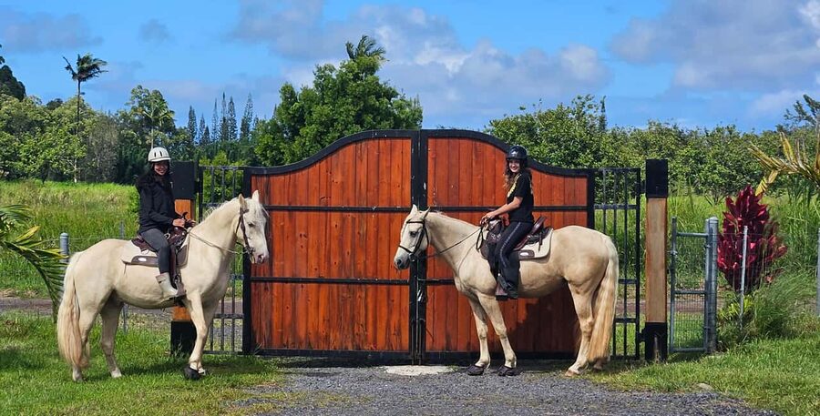 Hawaii: Small Group Rainforest Trail Ride - What happens from the barn to the Reserve