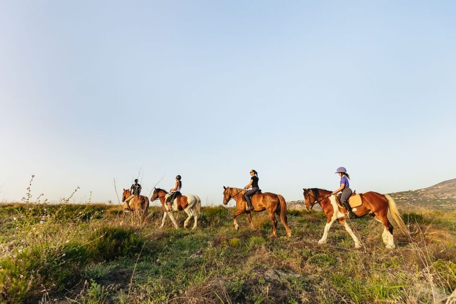 Heraklion: Finikia Horse Riding Tour with Lunch or Dinner - Who will enjoy this most