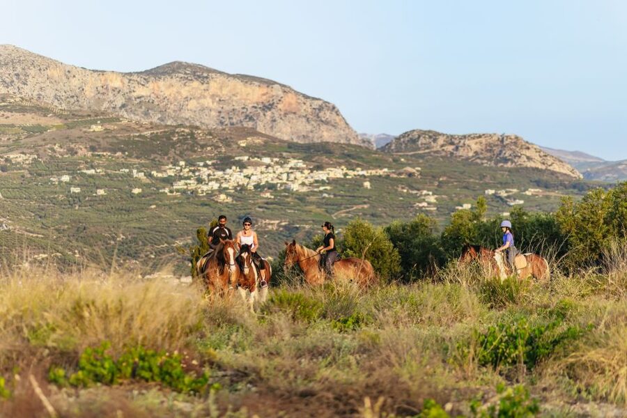 Heraklion: Finikia Horse Riding Tour with Lunch or Dinner - The first lesson helps beginners settle in