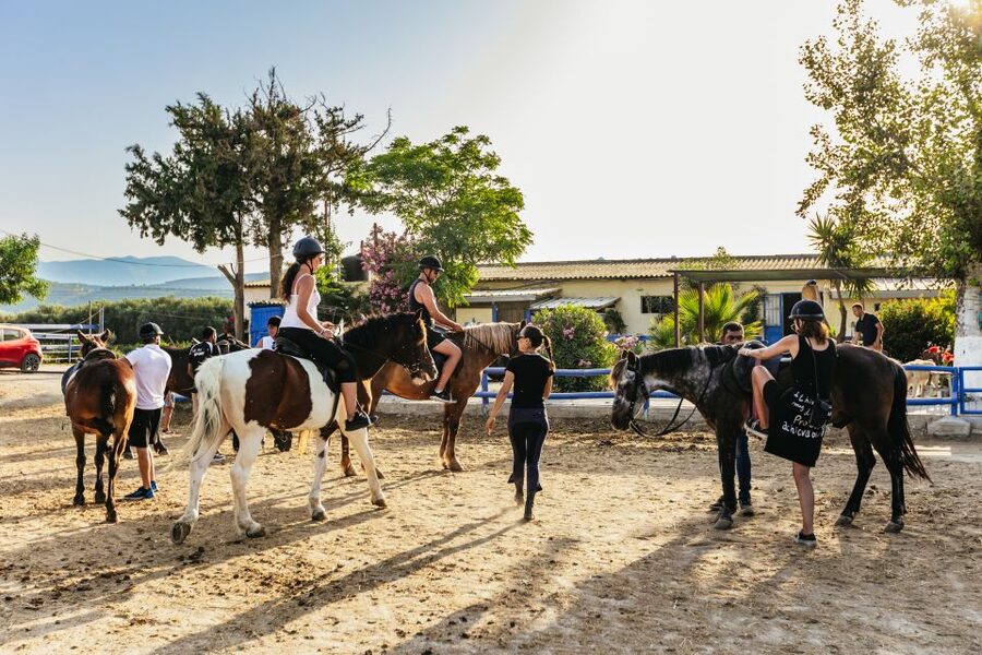 Heraklion: Finikia Horse Riding Tour with Lunch or Dinner - Riding through olive groves toward the Finikia mountains