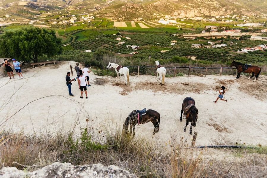 Heraklion: Finikia Horse Riding Tour with Lunch or Dinner - A homemade meal in the farm garden