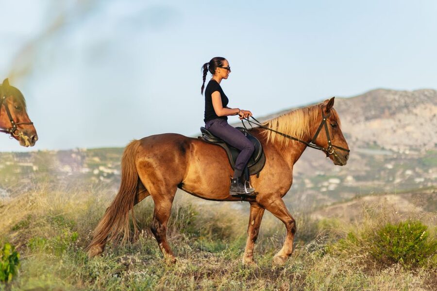 Heraklion: Horse Ride in the Cretan Mountains - Practical preparation for the saddle