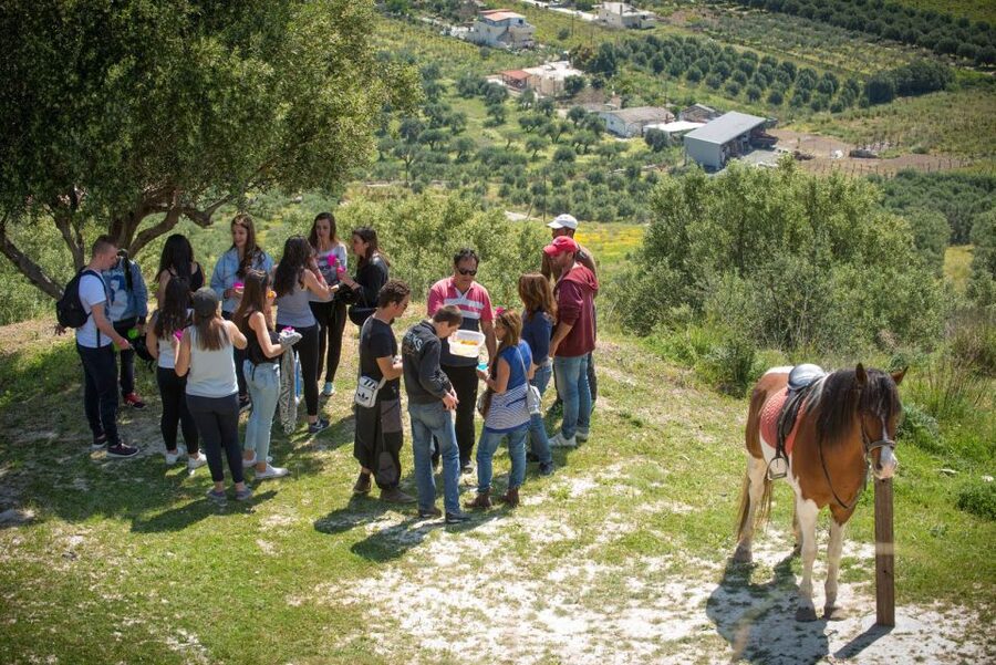 Heraklion: Horseriding Day Tour with Lunch and Transfer - Key points at a glance