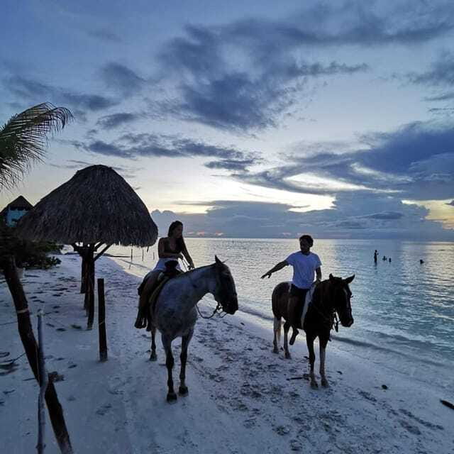 Holbox: Private Horseback Riding - How much value you get for $94