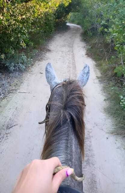 Holbox: Private Horseback Riding - Practical preparation for a comfortable ride