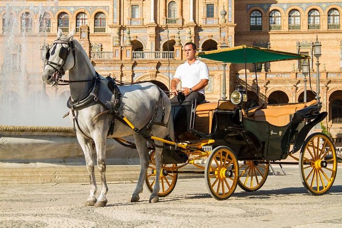 Horse and Buggy Ride in Seville with guide - Why a carriage gives Seville a different rhythm