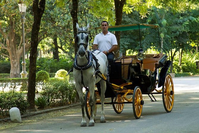 Horse and Buggy Ride in Seville with guide - Timing, sunlight, and Seville’s heat