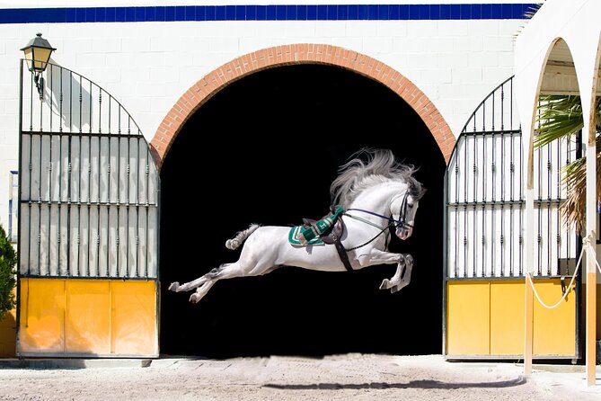 Horse and Flamenco Show in Malaga - What happens at Club Hípico El Ranchito