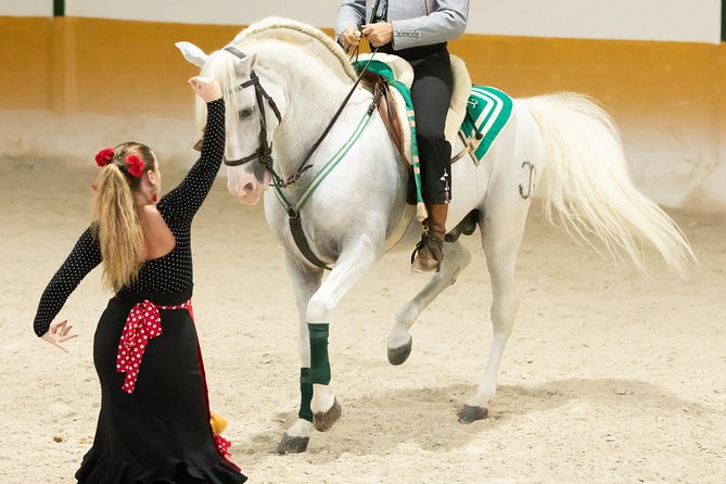 Horse and Flamenco Show in Malaga - The flamenco section: a graceful extra, not a full show