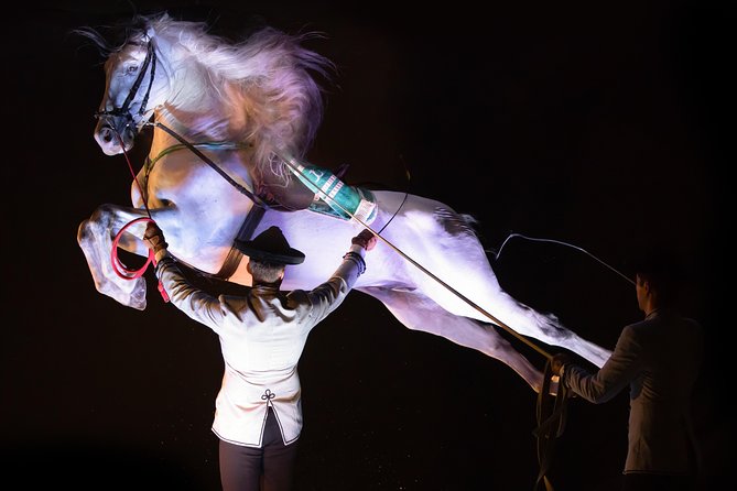 Horse and Flamenco Show in Malaga - Is $41.03 a fair price?