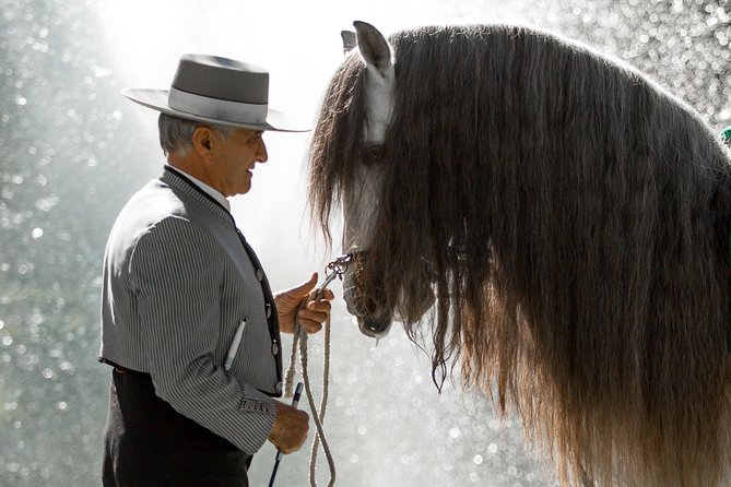 Horse and Flamenco Show in Malaga - Who will enjoy this most?