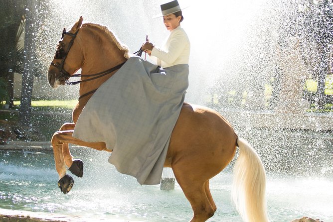 Horse and Flamenco Show in Malaga - Practical tips for a better evening