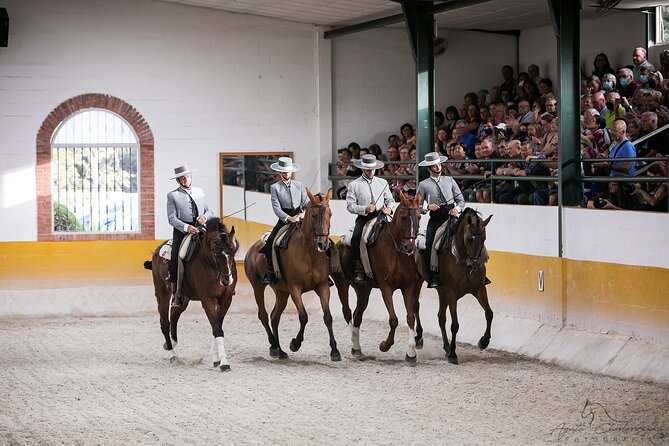 Horse and Flamenco Show in Malaga with Dinner - Why the horse show is the heart of the evening