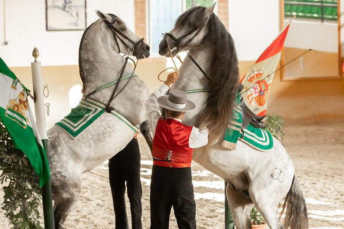 Horse and Flamenco Show in Malaga - Inside the 90-minute performance