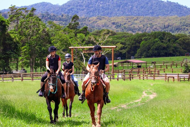 Horse and Quad bike tour with a visit to a Petting Zoo - Key points at a glance