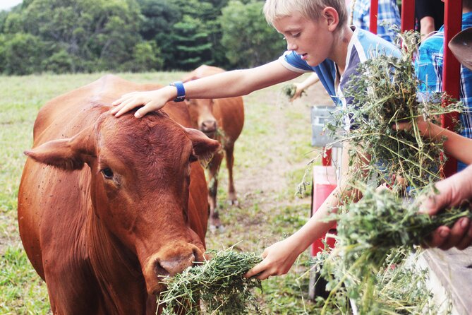 Horse and Quad bike tour with a visit to a Petting Zoo - Staff, instruction, and the feel of the day