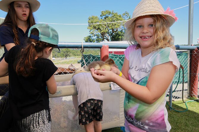 Horse and Quad bike tour with a visit to a Petting Zoo - Who will enjoy this most