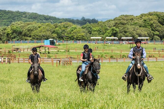 Horse and Quad bike tour with a visit to a Petting Zoo - Getting there and planning your visit